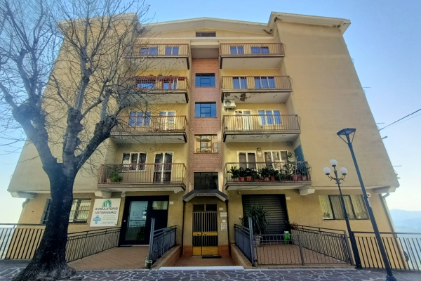 Appartamento e garage in ottima posizione