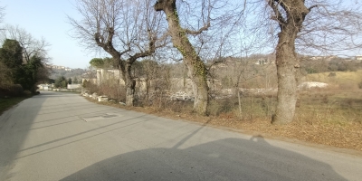 IMG20210223160019
