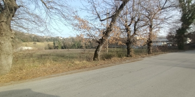 IMG20210223160022