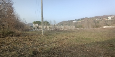 IMG20210223160112