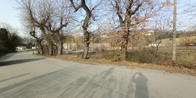 IMG20210223160139