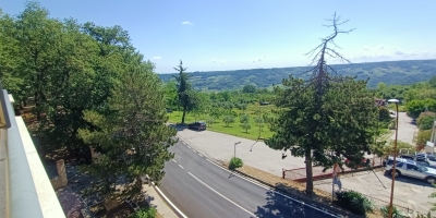 IMG20240605101309