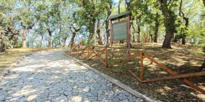 IMG20240605102603