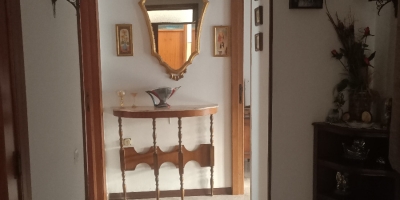 IMG20250404083804