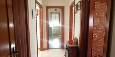 IMG20250404084104