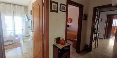 IMG20250404084115