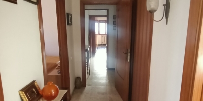 IMG20250404084156