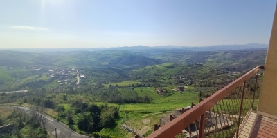 IMG20250404085605