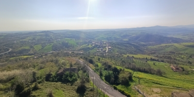 IMG20250404085607