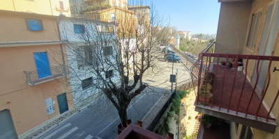 IMG20250404090204
