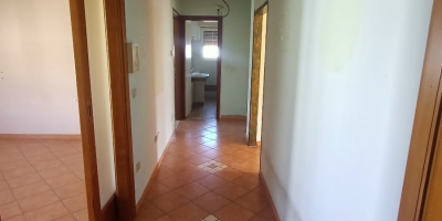 IMG20250404105302